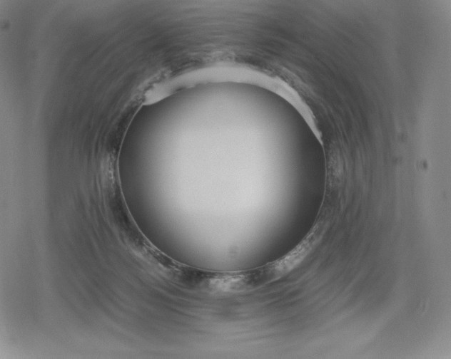 X0000080170172200612221300