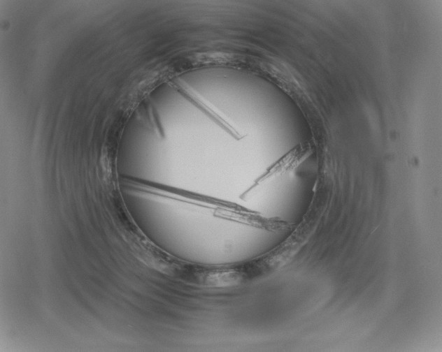 X0000080170173200612221300