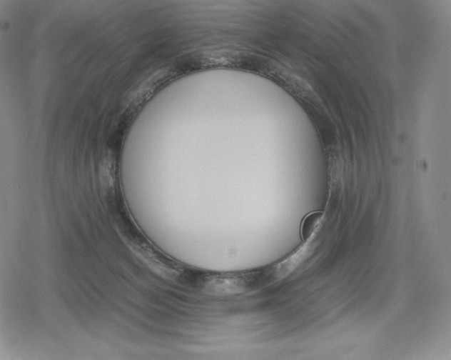 X0000080170174200612221300