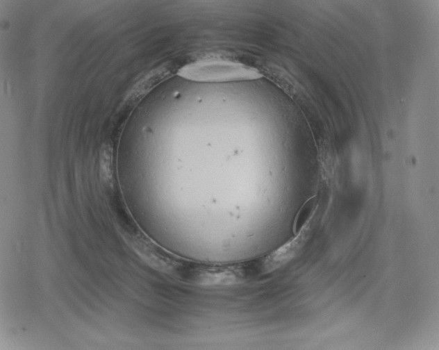 X0000080170175200612221300