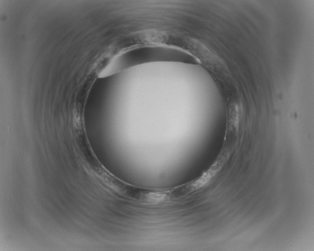 X0000080170176200612221300