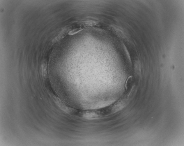 X0000080170177200612221300