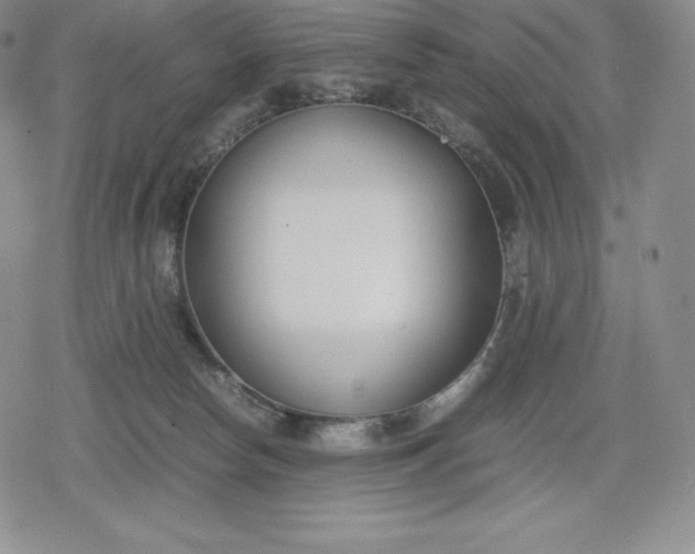 X0000080170178200612221300