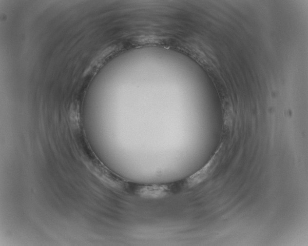 X0000080170179200612221300