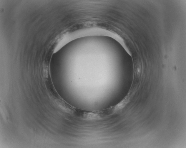 X0000080170180200612221300