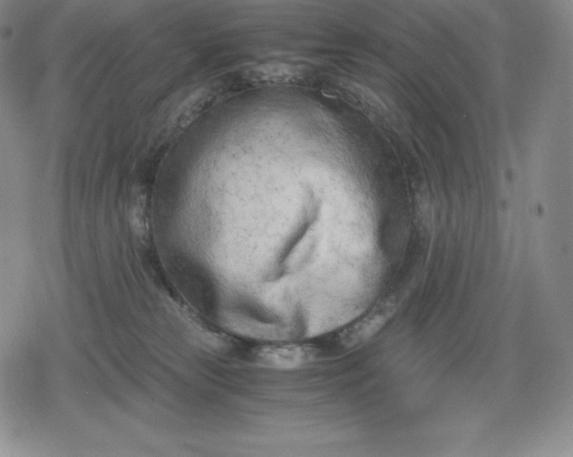 X0000080170181200612221300