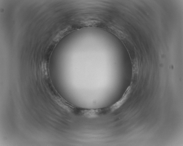 X0000080170182200612221300