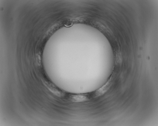 X0000080170183200612221300