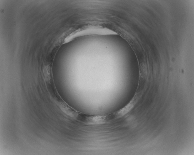 X0000080170184200612221300