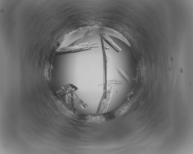 X0000080170185200612221300