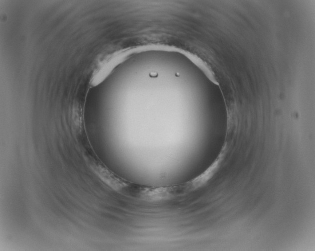 X0000080170186200612221300