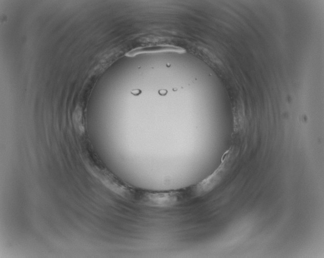 X0000080170187200612221300