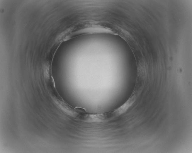 X0000080170188200612221300