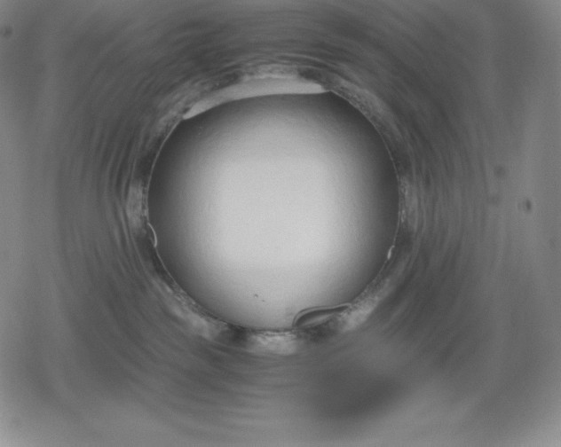 X0000080170189200612221300