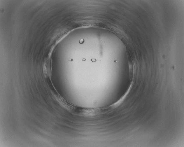 X0000080170190200612221300