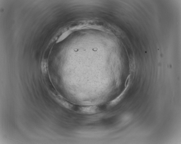 X0000080170191200612221300