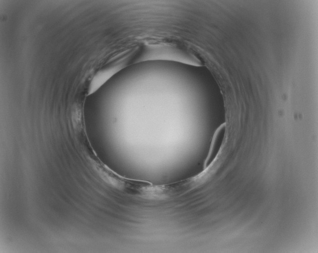 X0000080170192200612221300