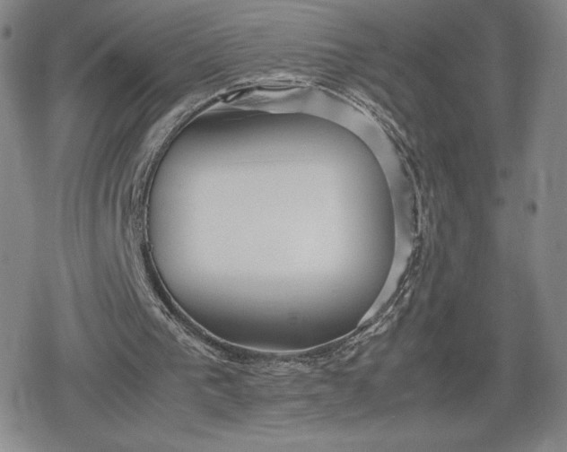 X0000080170193200612221259