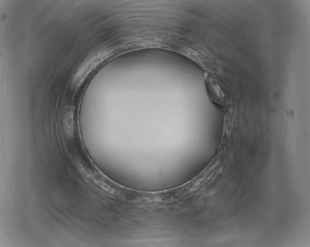 X0000080170194200612221259