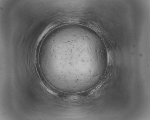 X0000080170195200612221259