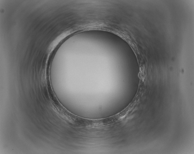 X0000080170196200612221259