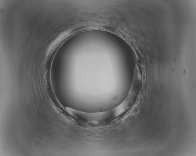 X0000080170197200612221259