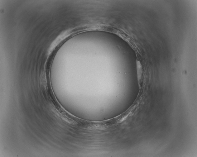 X0000080170198200612221259