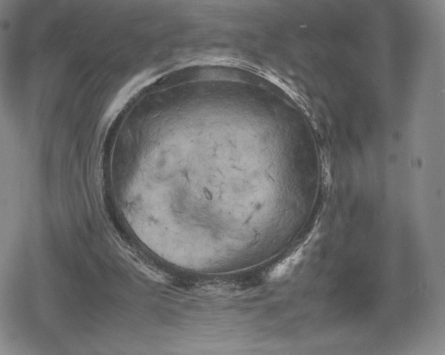 X0000080170199200612221259