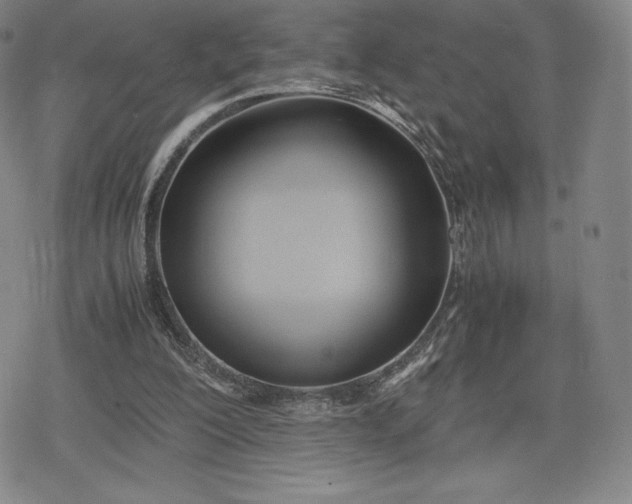 X0000080170200200612221259