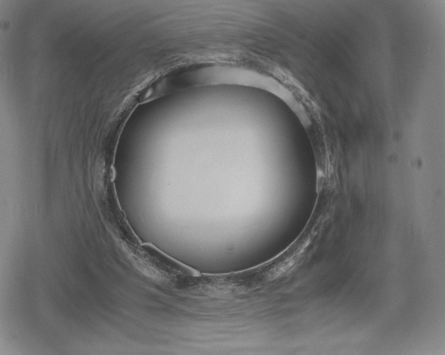 X0000080170201200612221259