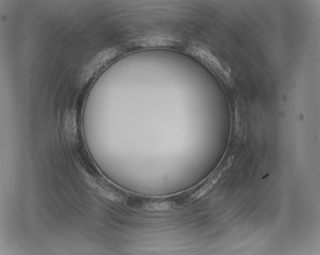 X0000080170202200612221259