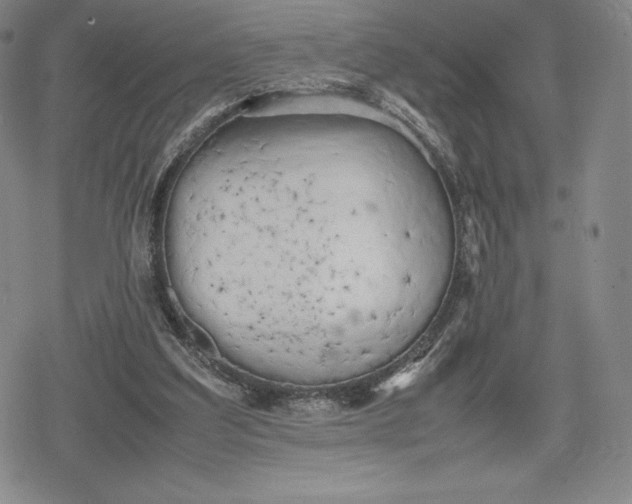 X0000080170203200612221259