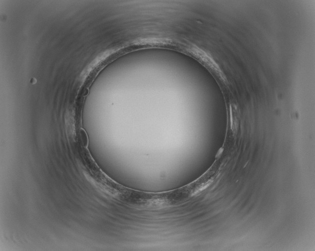 X0000080170204200612221259