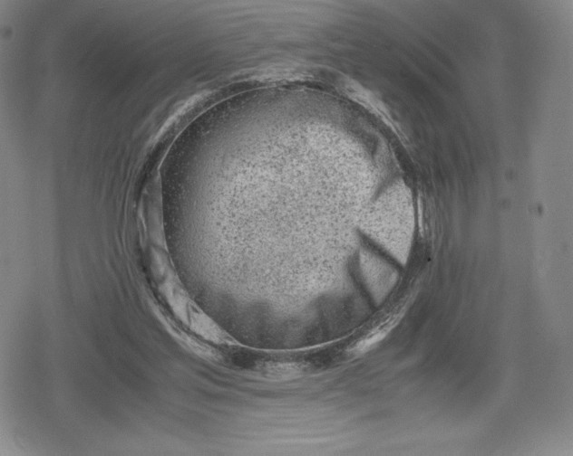 X0000080170205200612221259