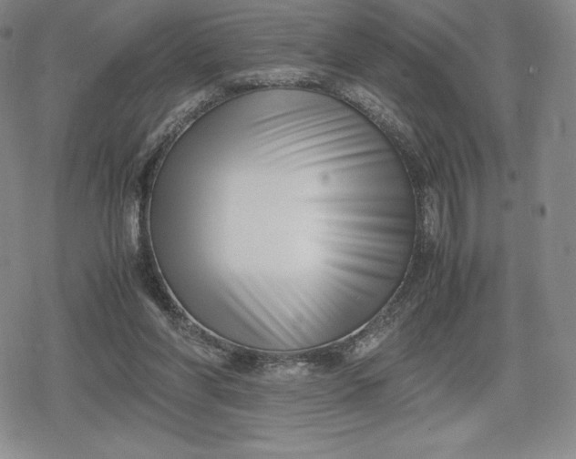 X0000080170206200612221259