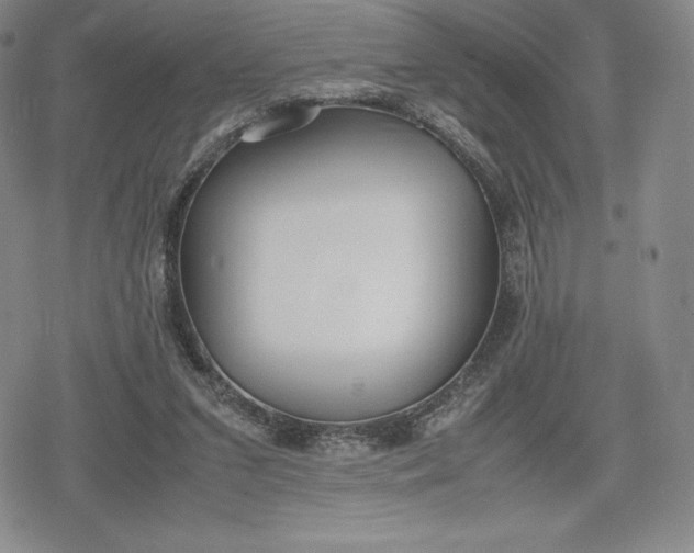 X0000080170207200612221259