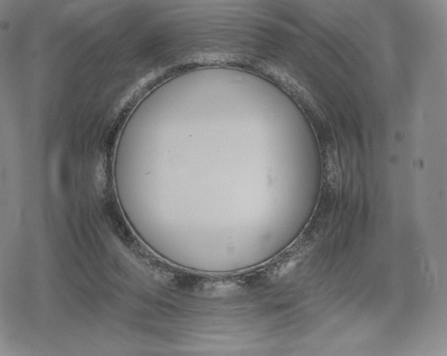 X0000080170208200612221259