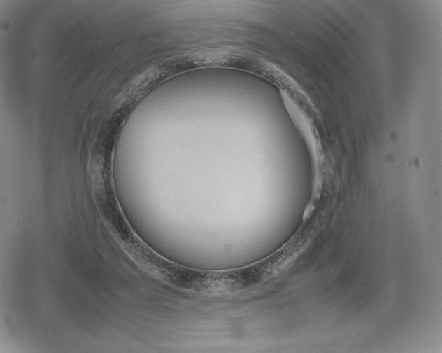 X0000080170209200612221259