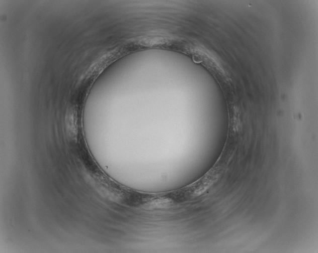 X0000080170210200612221259