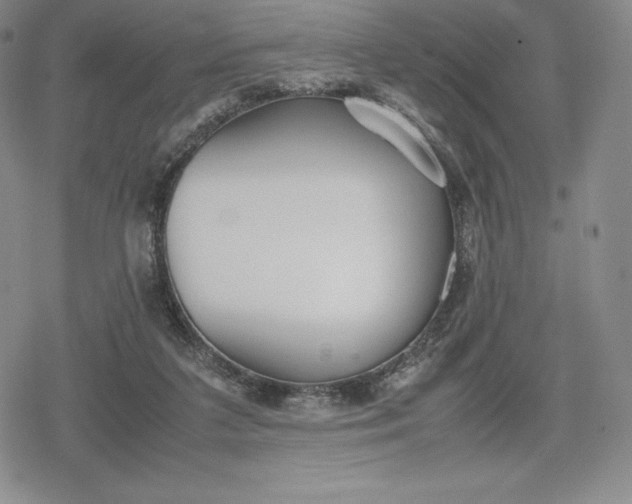 X0000080170211200612221259