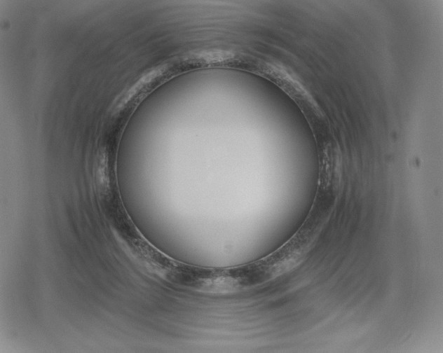 X0000080170212200612221259