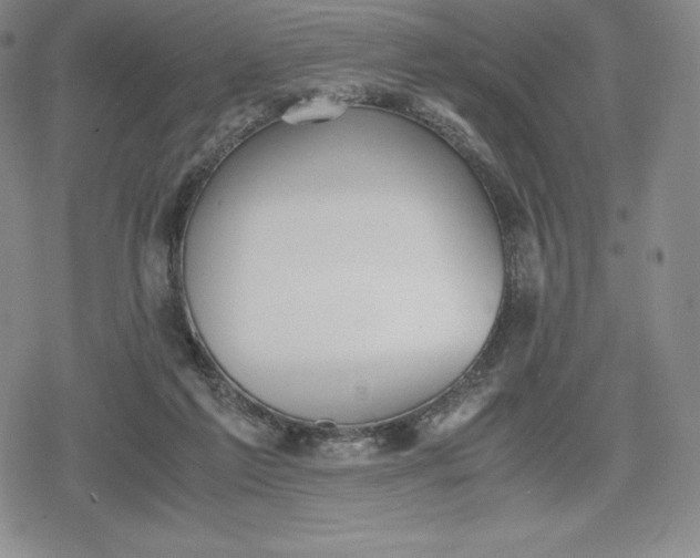 X0000080170213200612221259