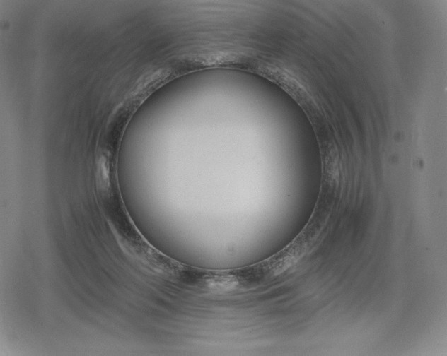 X0000080170214200612221259