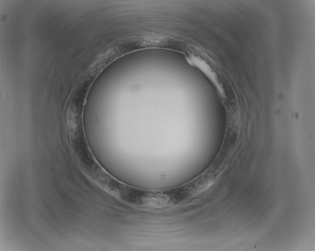 X0000080170215200612221259