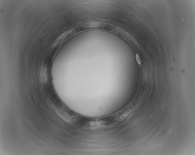 X0000080170216200612221259