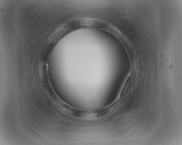 X0000080170217200612221259