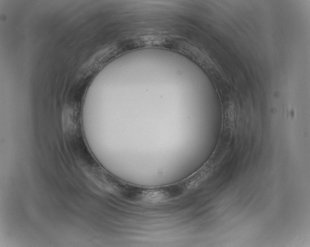 X0000080170218200612221259