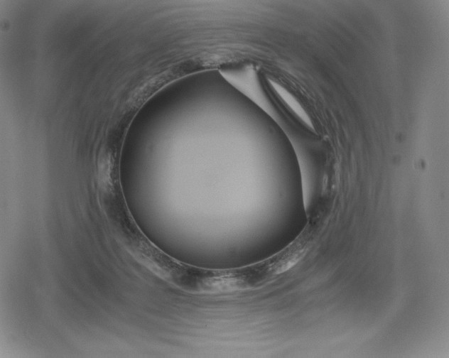 X0000080170219200612221259