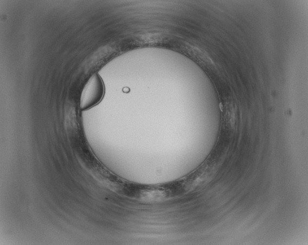 X0000080170220200612221259