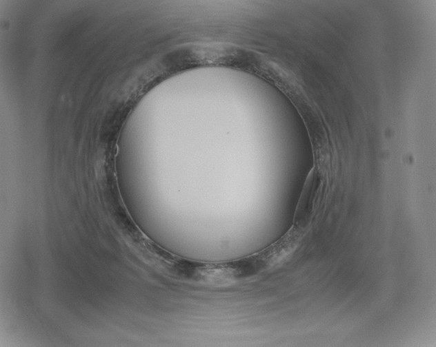 X0000080170221200612221259